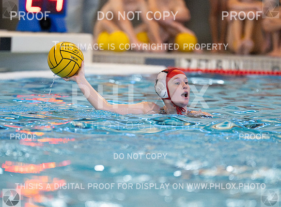 DLS_6538