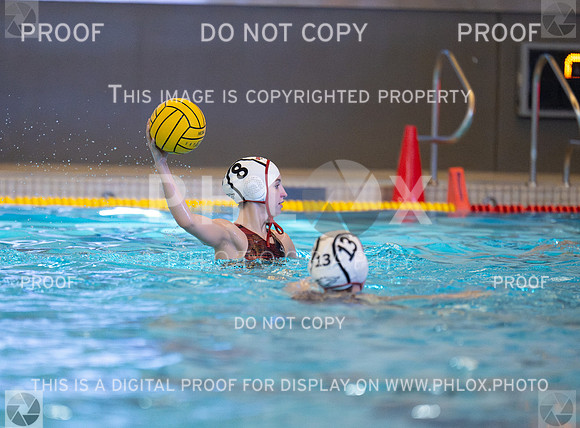 DLS_6520