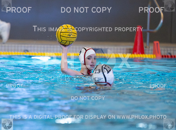 DLS_6523