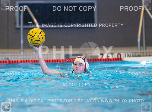 DLS_6519