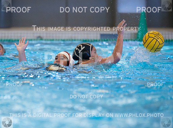 DLS_6501