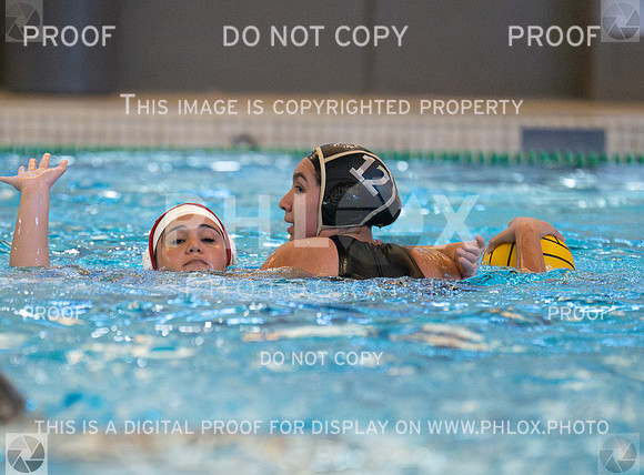 DLS_6498