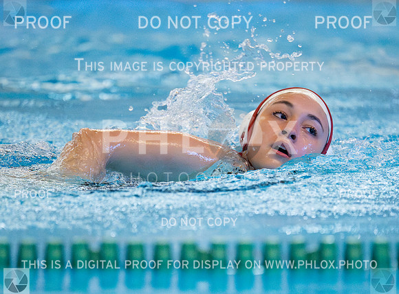 DLS_6484