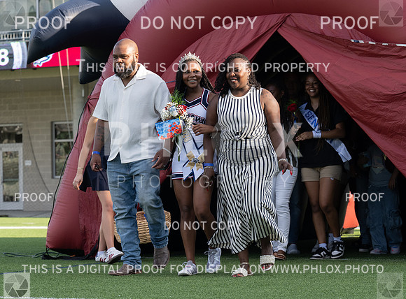 DLS_1282