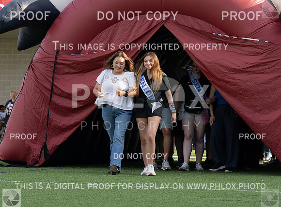 DLS_1298