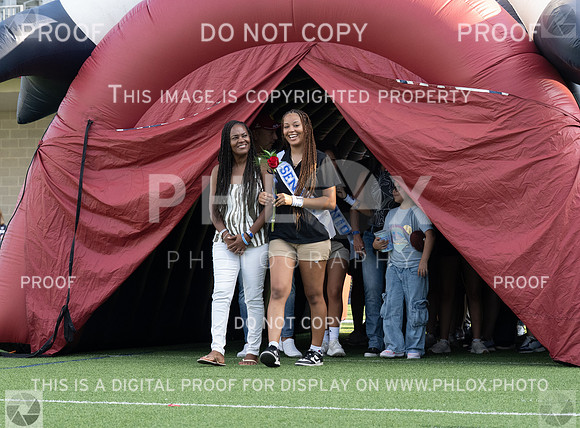 DLS_1287