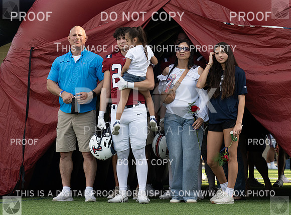 DLS_1401