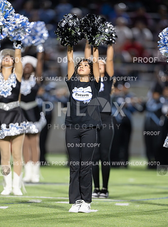 DLS_2397