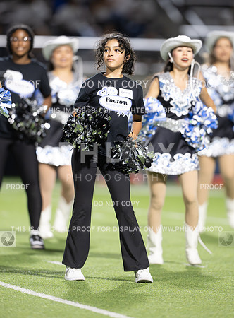 DLS_2443
