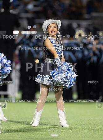DLS_2468