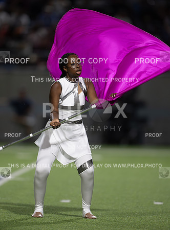 DLS_2503