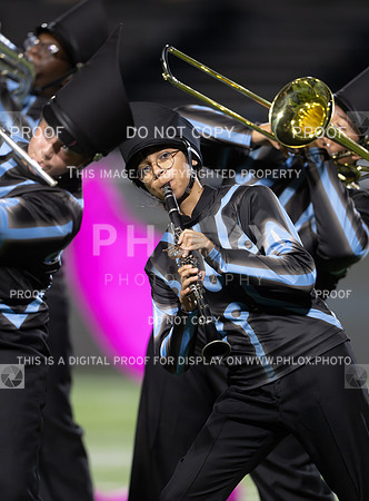 DLS_2542