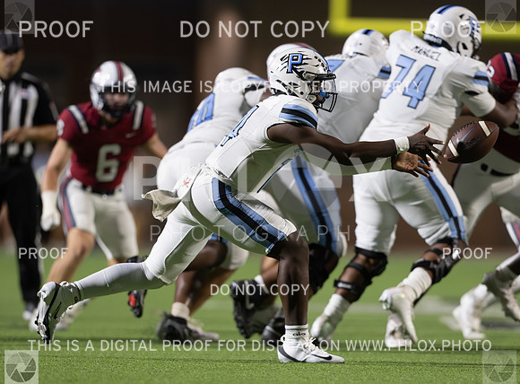 DLS_2909