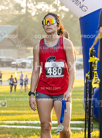 DLS_0301