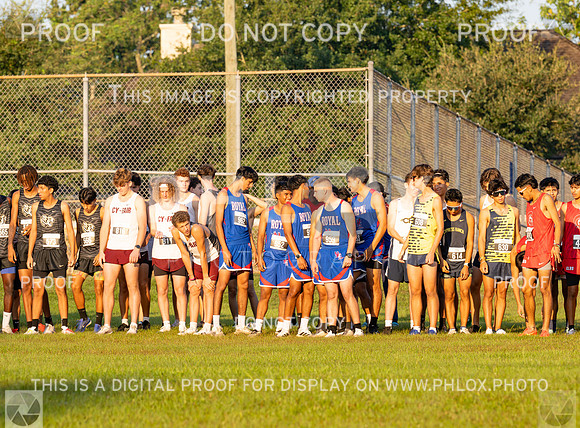 DLS_0579