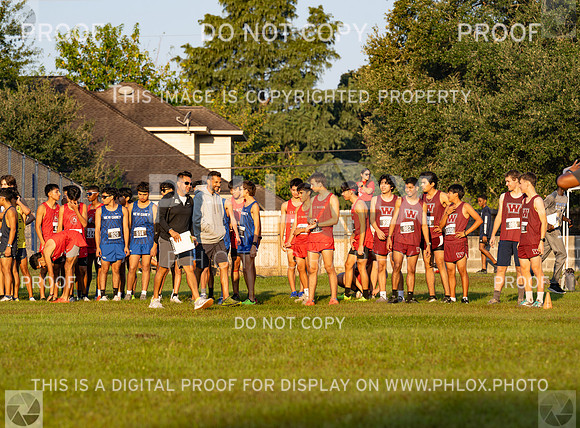 DLS_0574