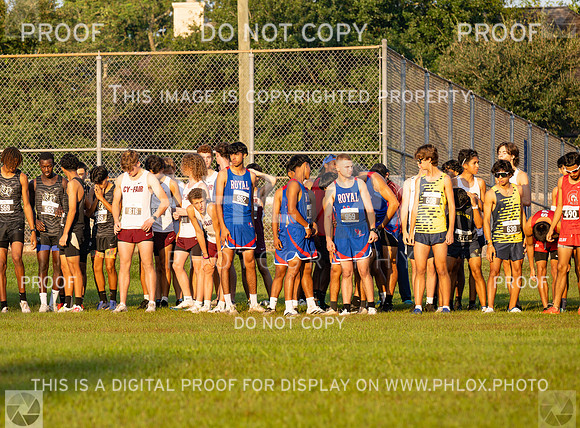 DLS_0580