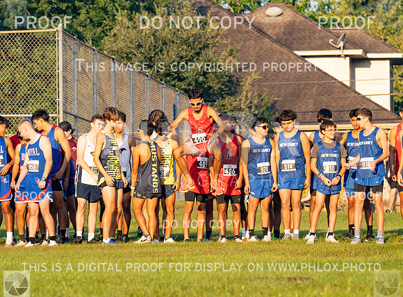 DLS_0576