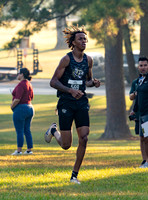 DLS_0628