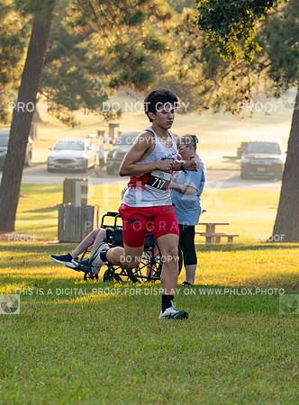 DLS_0638