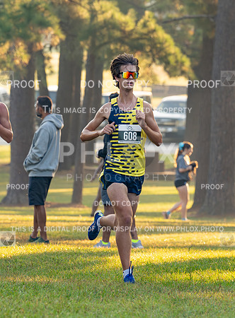 DLS_0671
