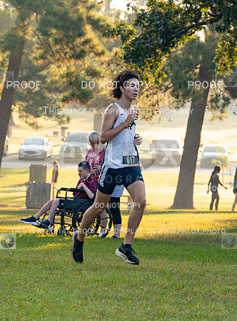 DLS_0687