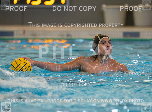DLS_4478