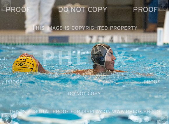 DLS_4485