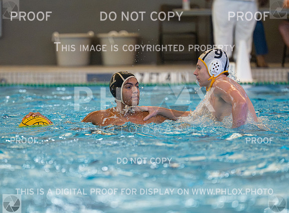DLS_4505