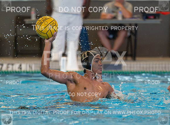 DLS_4512