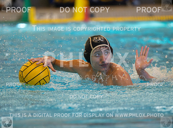 DLS_4516