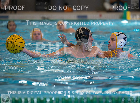 DLS_4525
