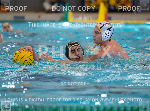 DLS_4520