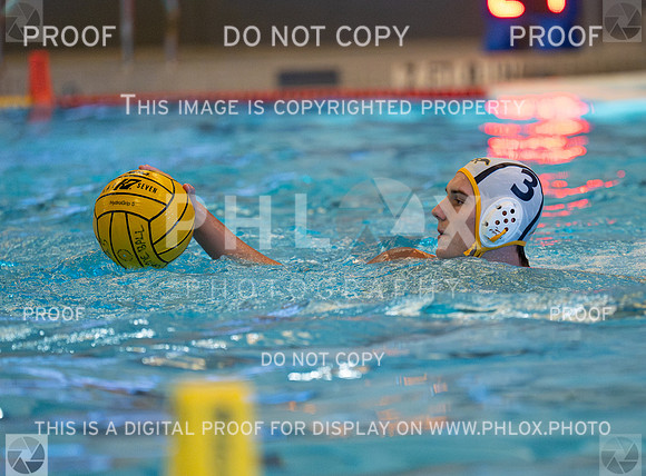 DLS_4540