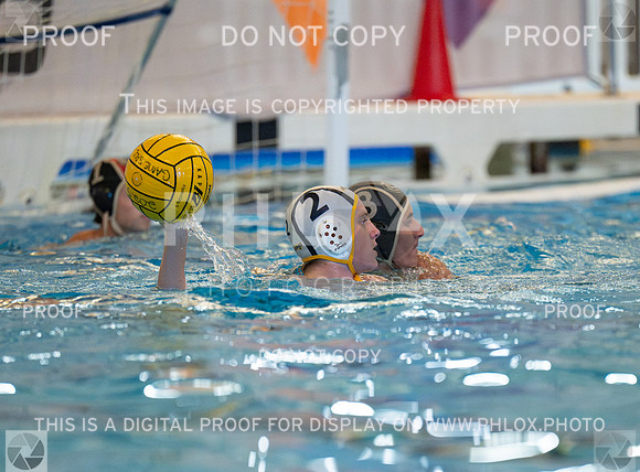 DLS_4575