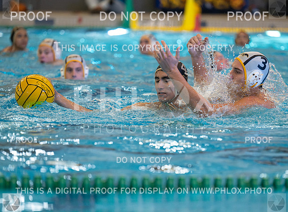 DLS_4579