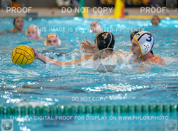 DLS_4580