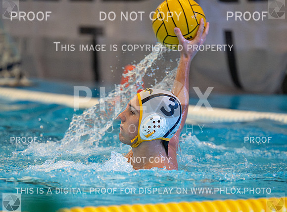 DLS_4596