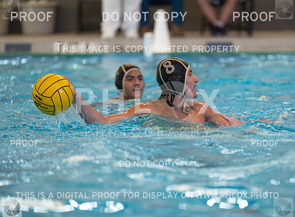 DLS_4583