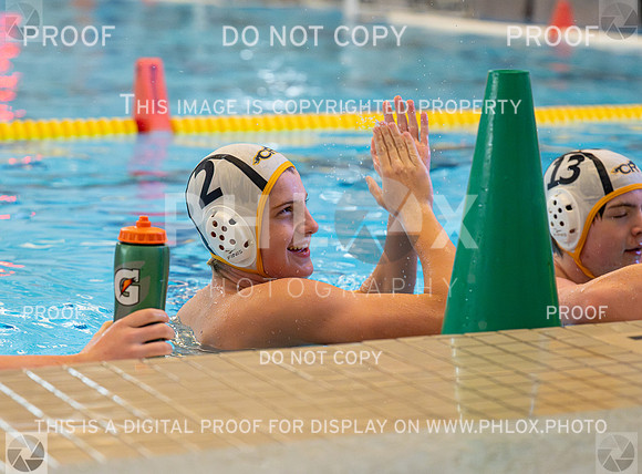 DLS_4603