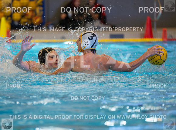 DLS_4619