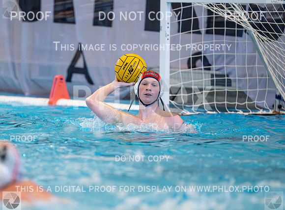DLS_3385