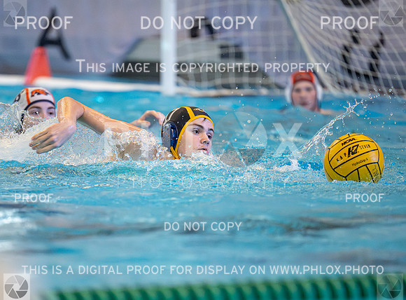 DLS_3394