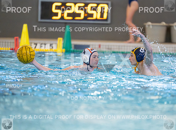 DLS_3619