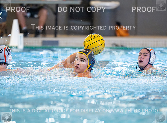 DLS_3688