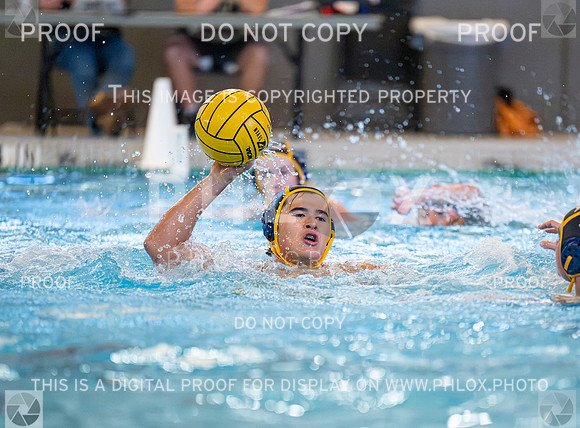 DLS_3693