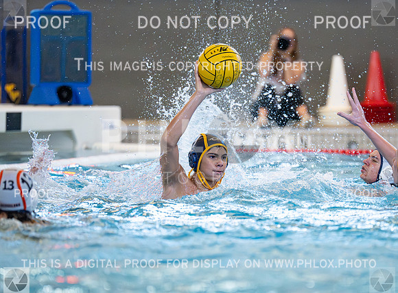 DLS_3711