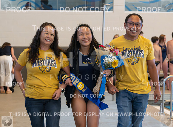 DLS_3919