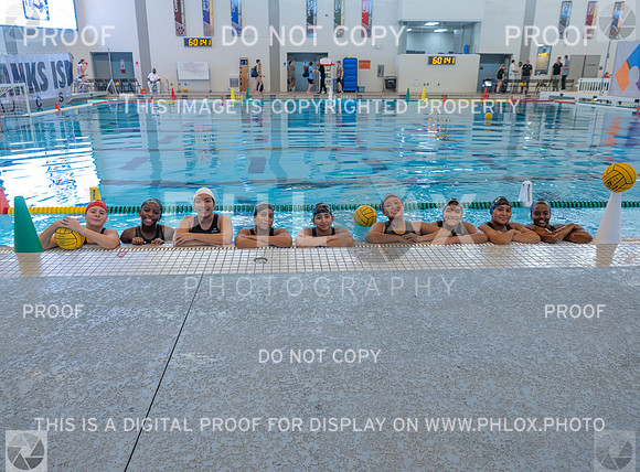 DLS_3938