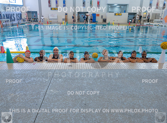 DLS_3940